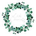 cc